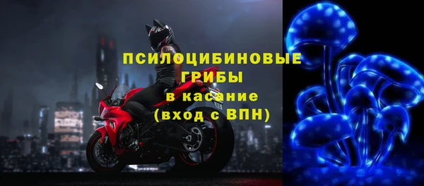 гидропоника Алзамай