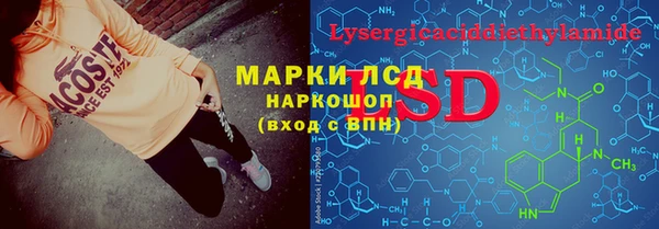 гидропоника Алзамай