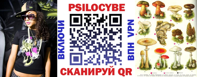 kraken ССЫЛКА  Владимир  Галлюциногенные грибы GOLDEN TEACHER 
