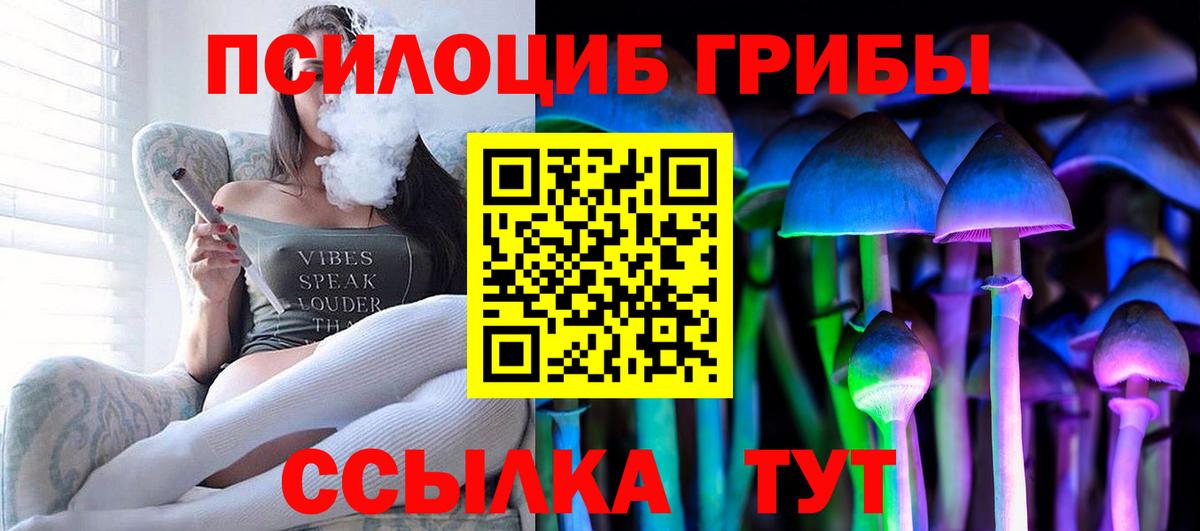 Галлюциногенные грибы GOLDEN TEACHER  Псилоцибиновые грибы Psilocybe  Вход с VPN  где можно купить наркотик  Владимир 