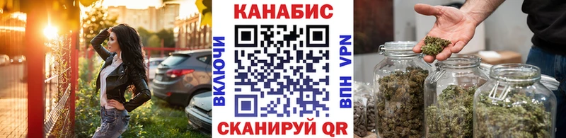 МАРИХУАНА сатива  Владимир 